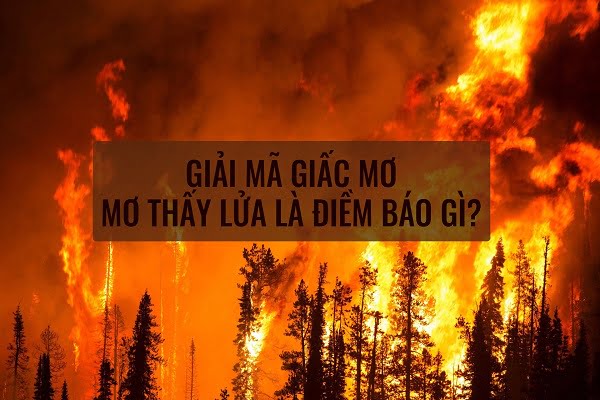 Bạn nên đặt cược vào con số nào nếu xảy ra hỏa hoạn? Nằm mơ thấy lửa và nước có ý nghĩa gì?