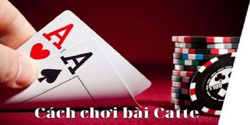 Cách Đánh Bài Catte – Hướng Dẫn Chơi Bài Catte Đơn Giản Nhất